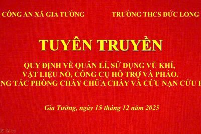 Tuyên truyền quy định về quản lí, sử dụng vũ khí, vật liệu pháo nổ, công cụ hỗ trợ và pháo. Công tác phòng cháy chữa cháy và cứu nạn cứu hộ